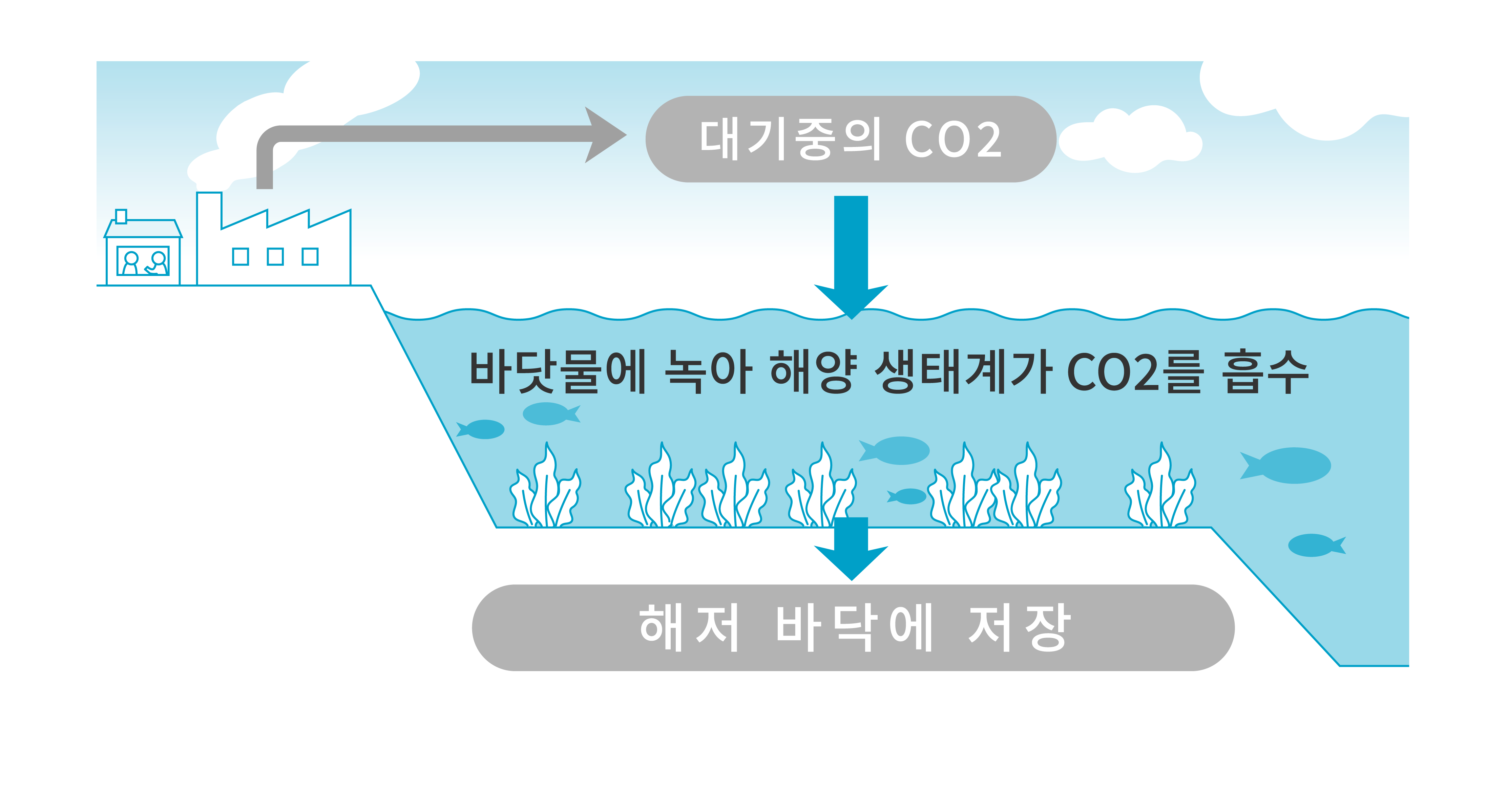 CO2 in the atmosphere Dissolves in the sea and the marine ecosystem absorbs CO2 Stored on the sea floor