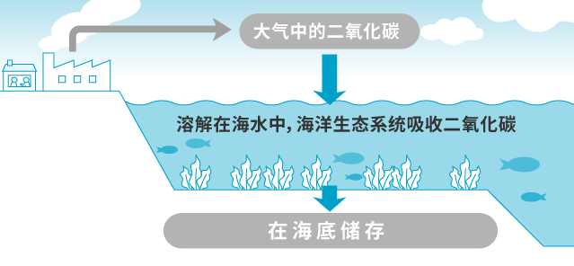 CO2 in the atmosphere Dissolves in the sea and the marine ecosystem absorbs CO2 Stored on the sea floor